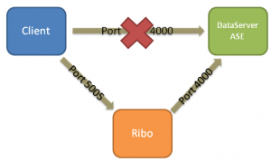 Sybase Ribo